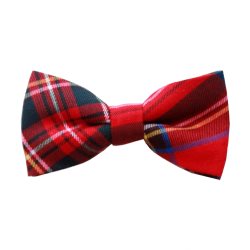 Bow Tie in Royal Stewart Tartan