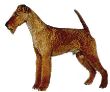 Irish Terrier / Irish Red Terrier